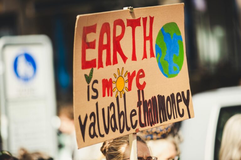 Events Sign reading 'Earth is more valuable than money' at a climate protest outdoors.